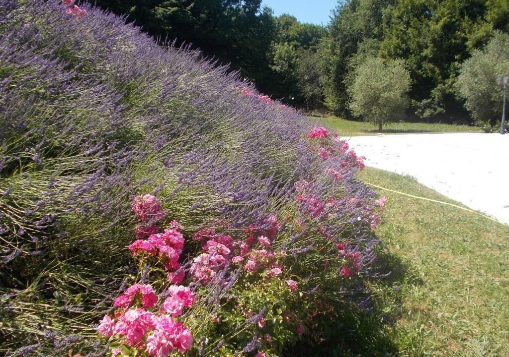 Photo of Outdoor in Saint-Julien-de-Lampon