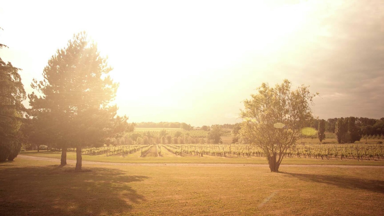 Photo of Others in Villeneuve-de-Duras