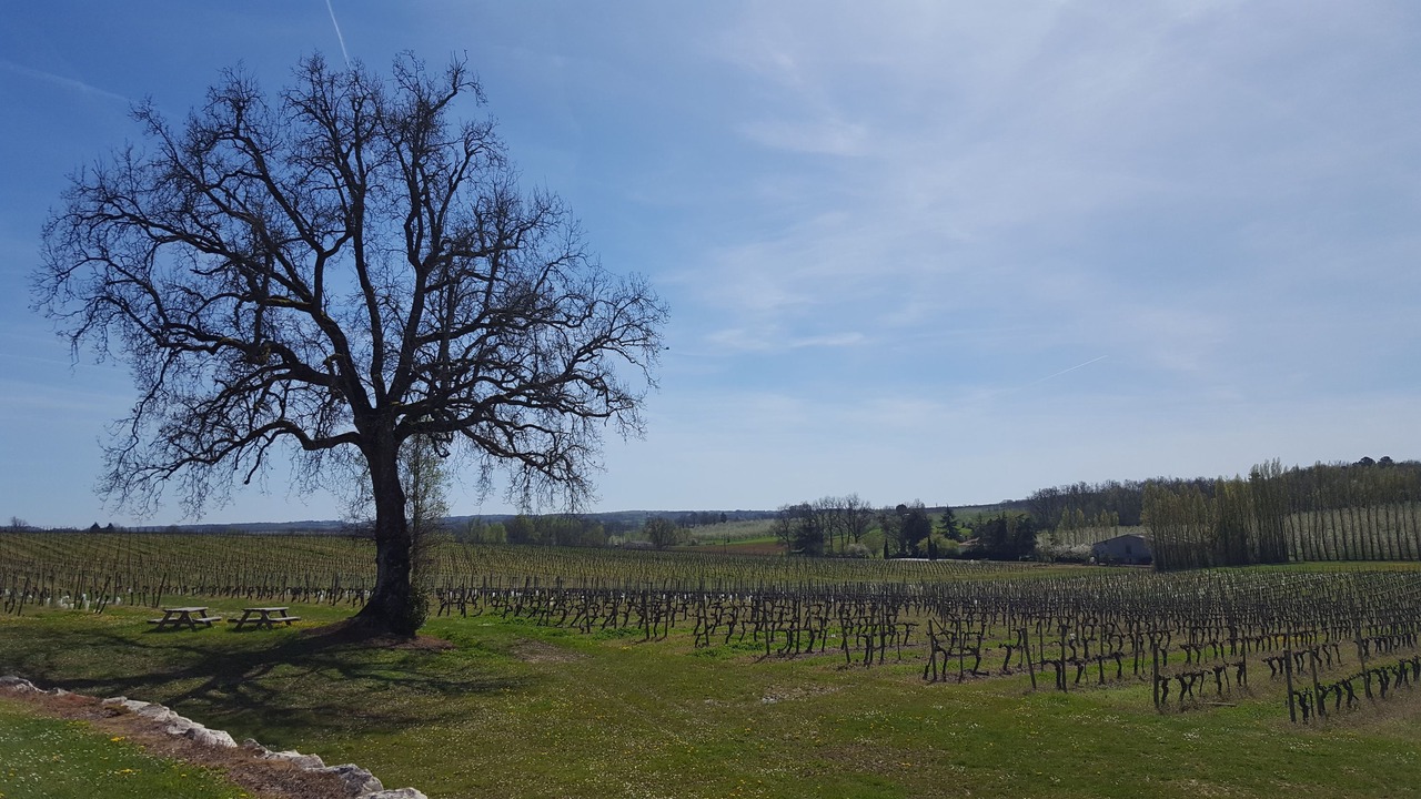Photo of Others in Villeneuve-de-Duras