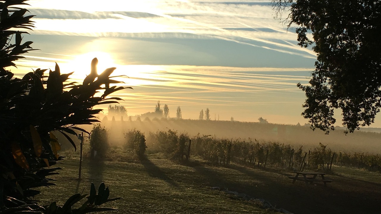 Photo of Others in Villeneuve-de-Duras