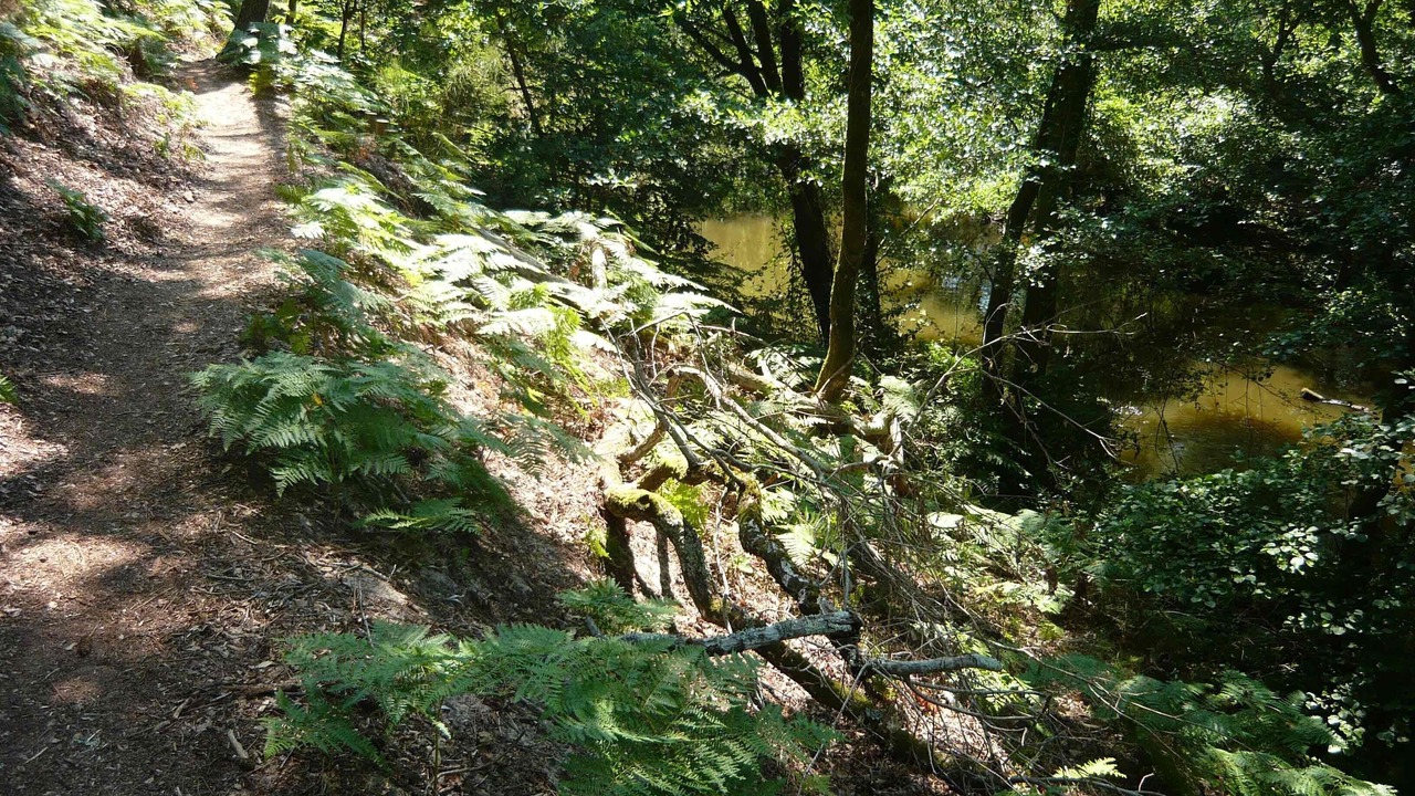 Photo of Outdoor in Vieux-Boucau-les-Bains