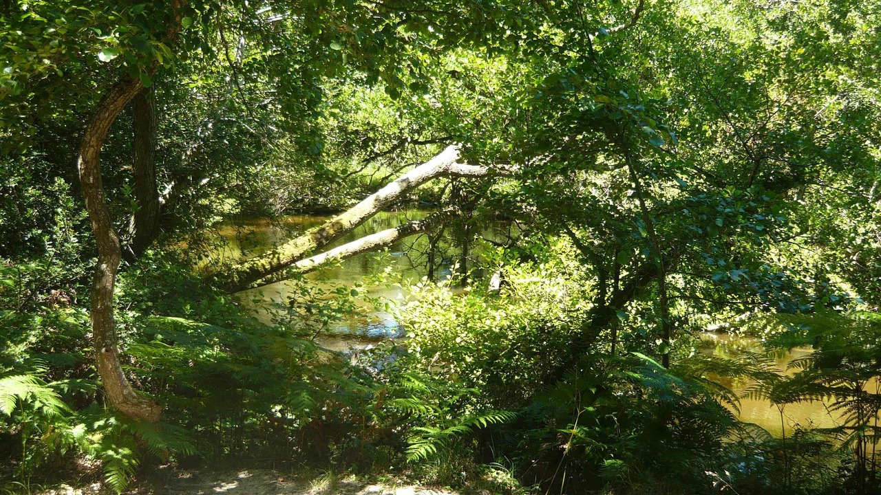 Photo of Outdoor in Vieux-Boucau-les-Bains