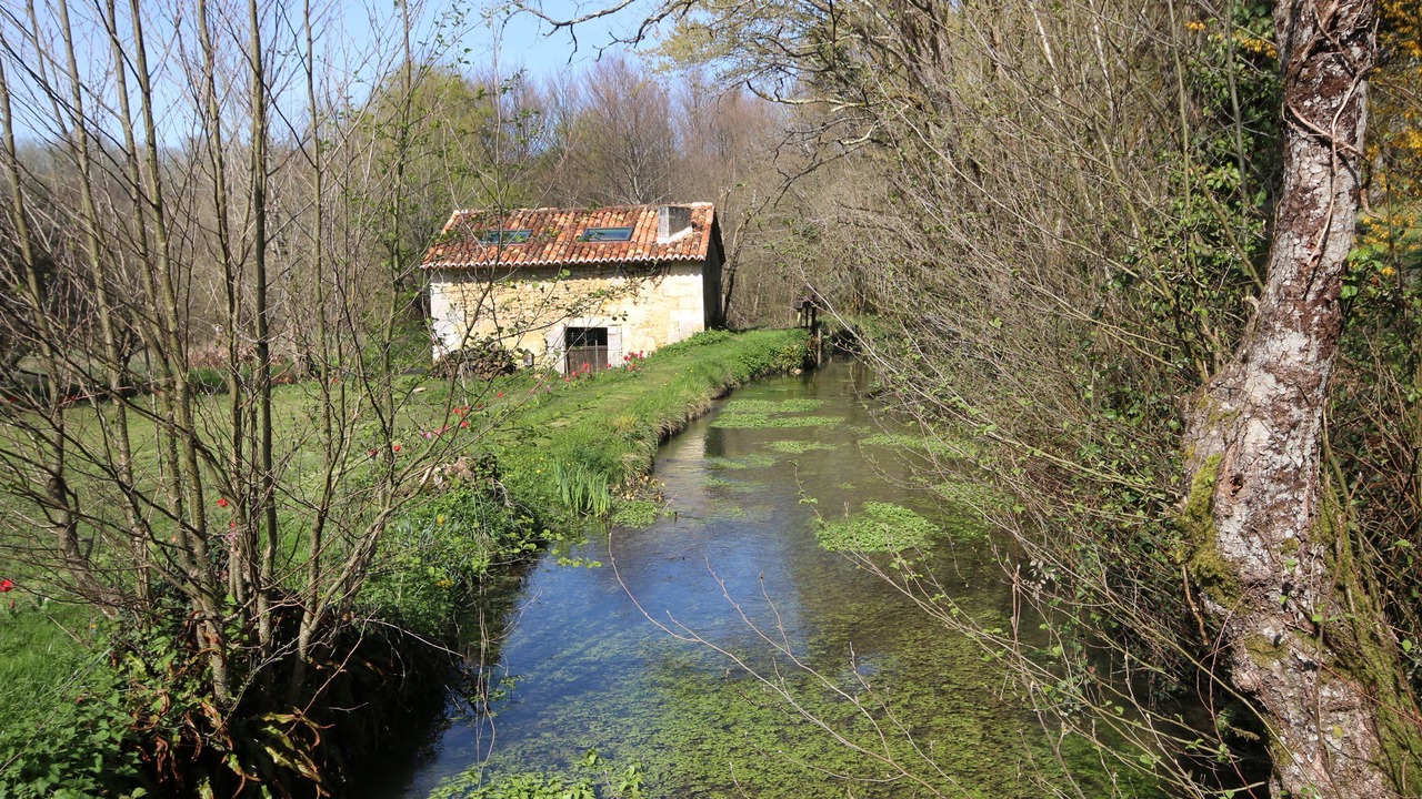 Photo of Outdoor in Mareuil en Perigord