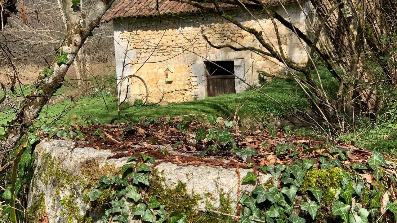 Photo of Others in Mareuil en Perigord