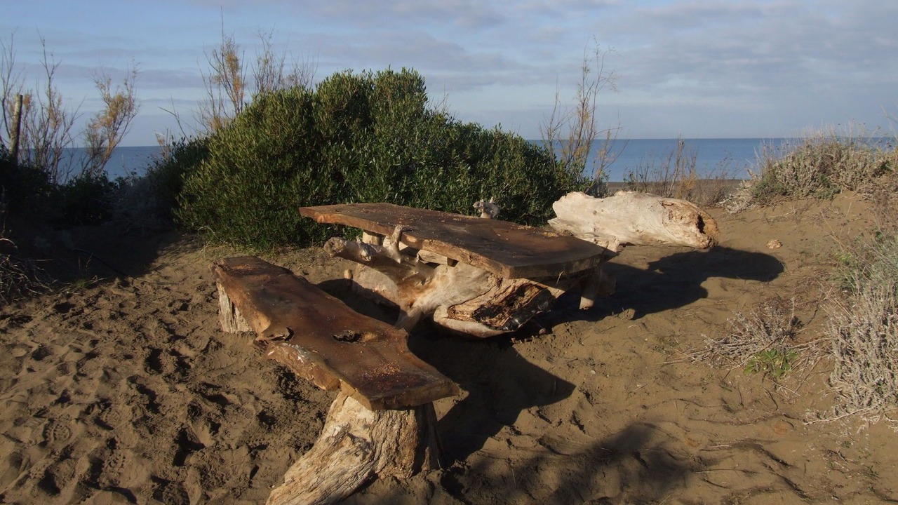 Photo of Outdoor in Marina di Castagneto Carducci