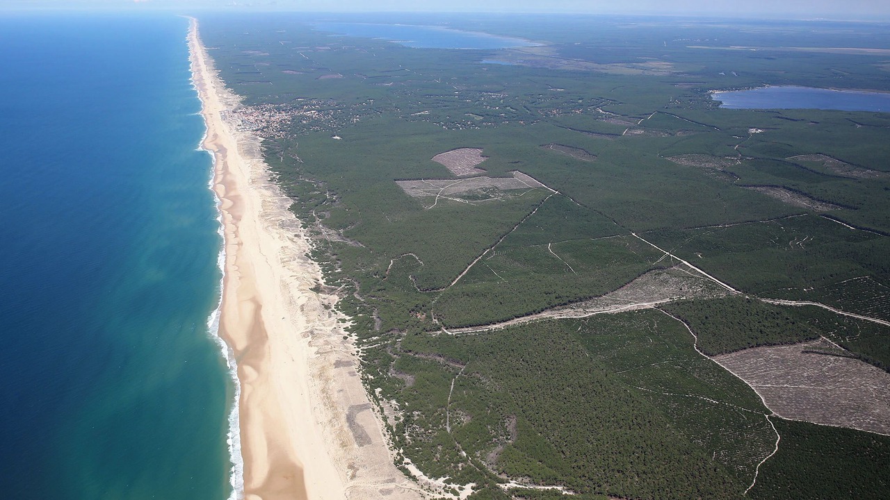 Photo of Others in Lacanau-Ocean