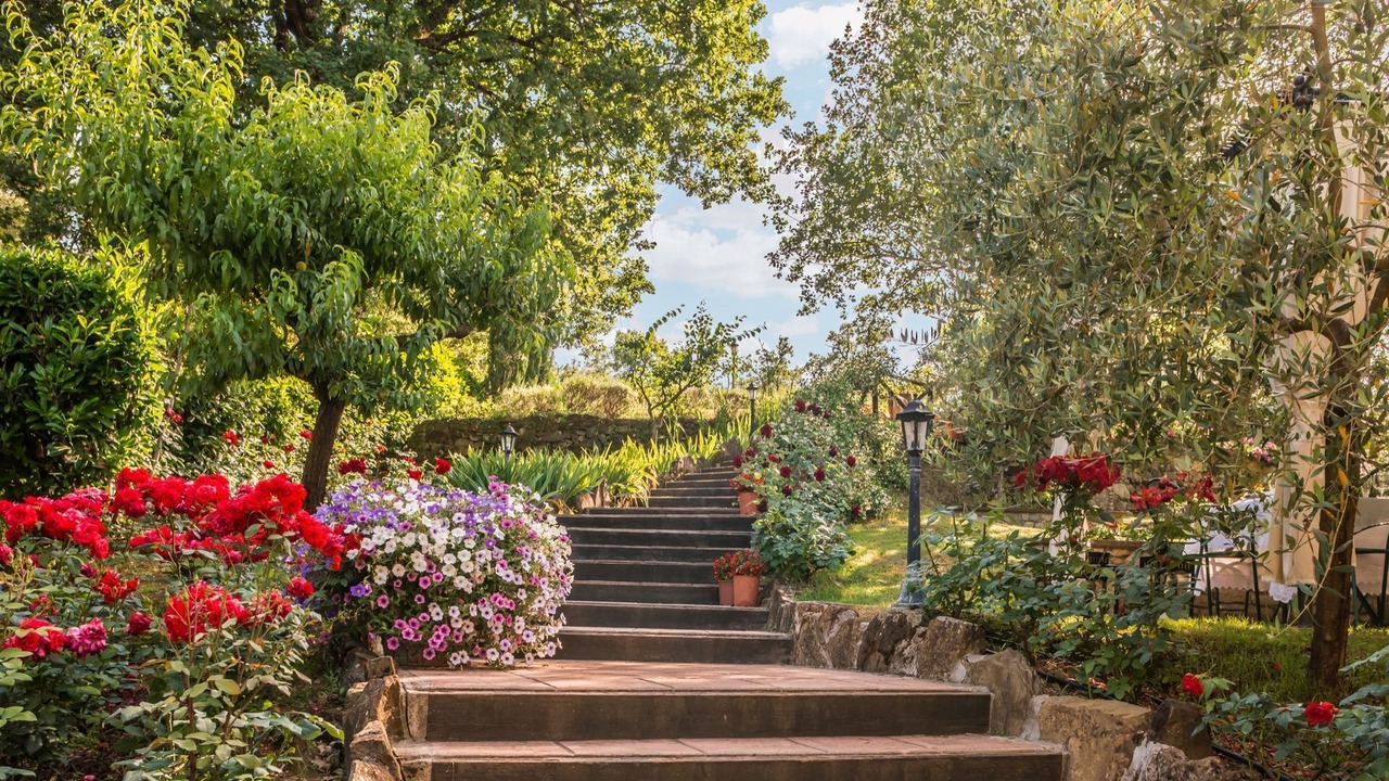 Photo of Outdoor in Ripoli