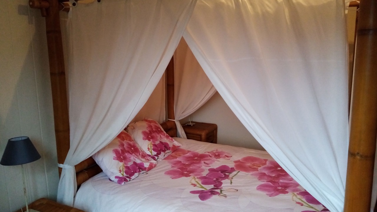 Photo of Bedroom in L'Isle-Jourdain
