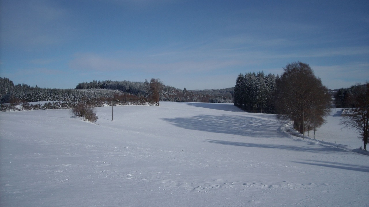 Photo of Others in Bonnefond