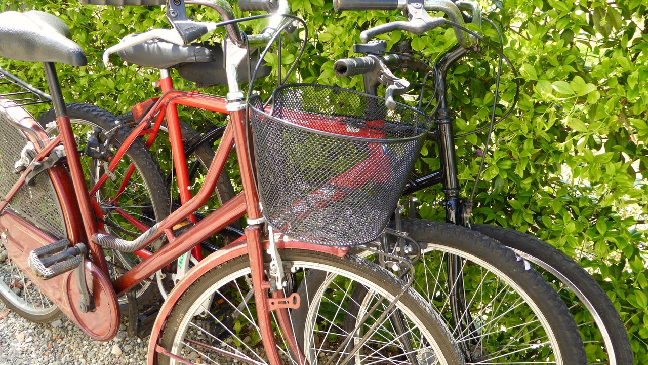 Photo of Outdoor in Altopascio