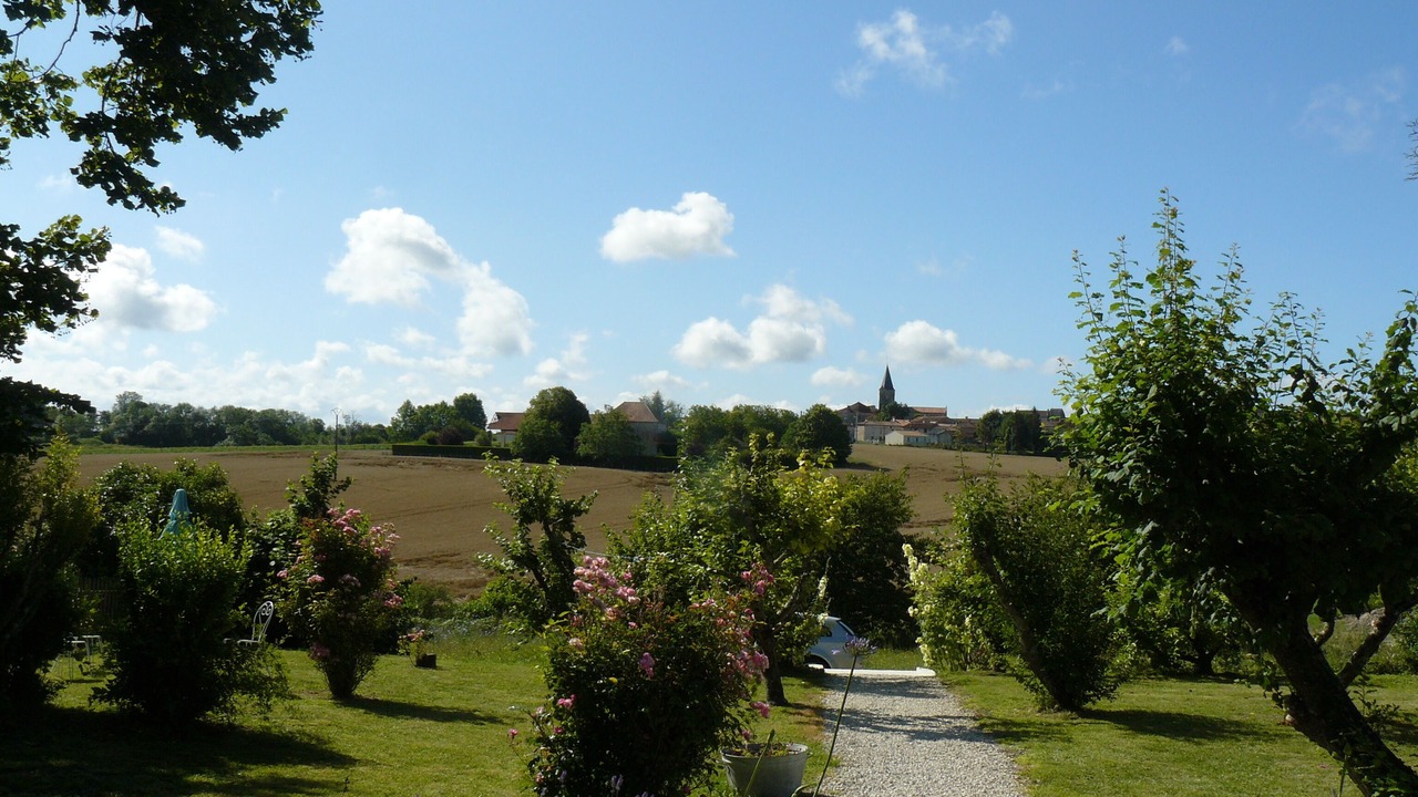 Photo of Outdoor in Saint-Severin