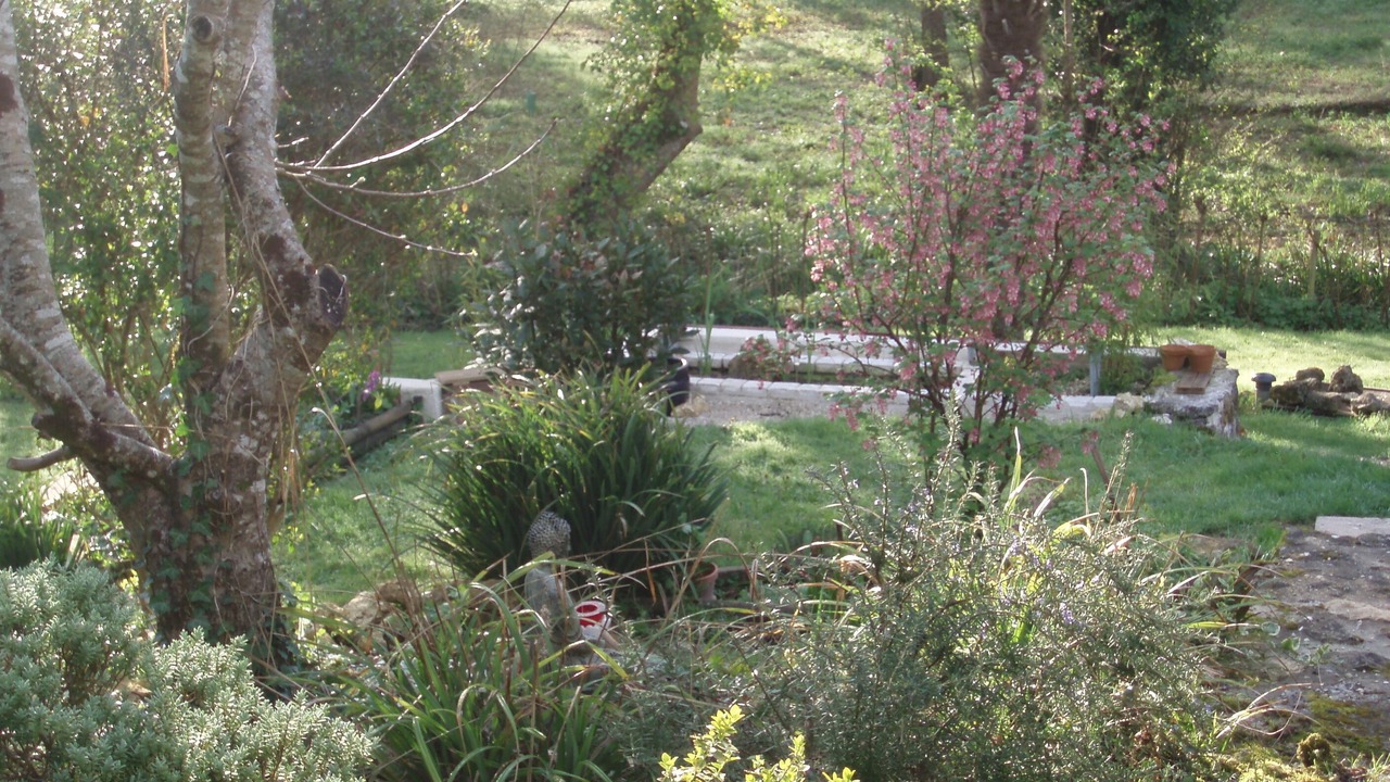 Photo of Outdoor in Saint-Cesaire