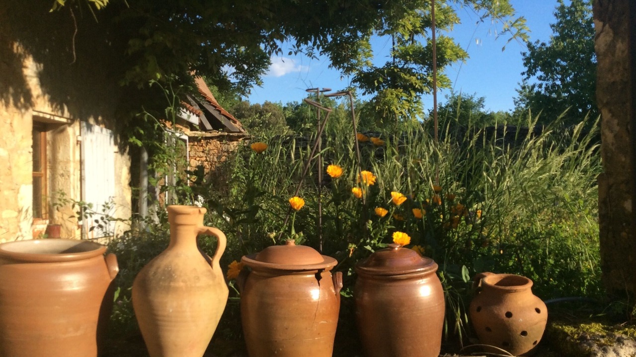 Photo of Outdoor in Castels et Bezenac