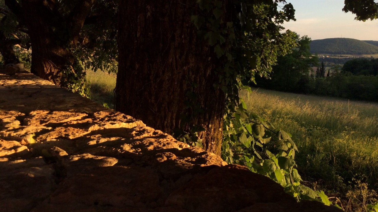 Photo of Outdoor in Castels et Bezenac