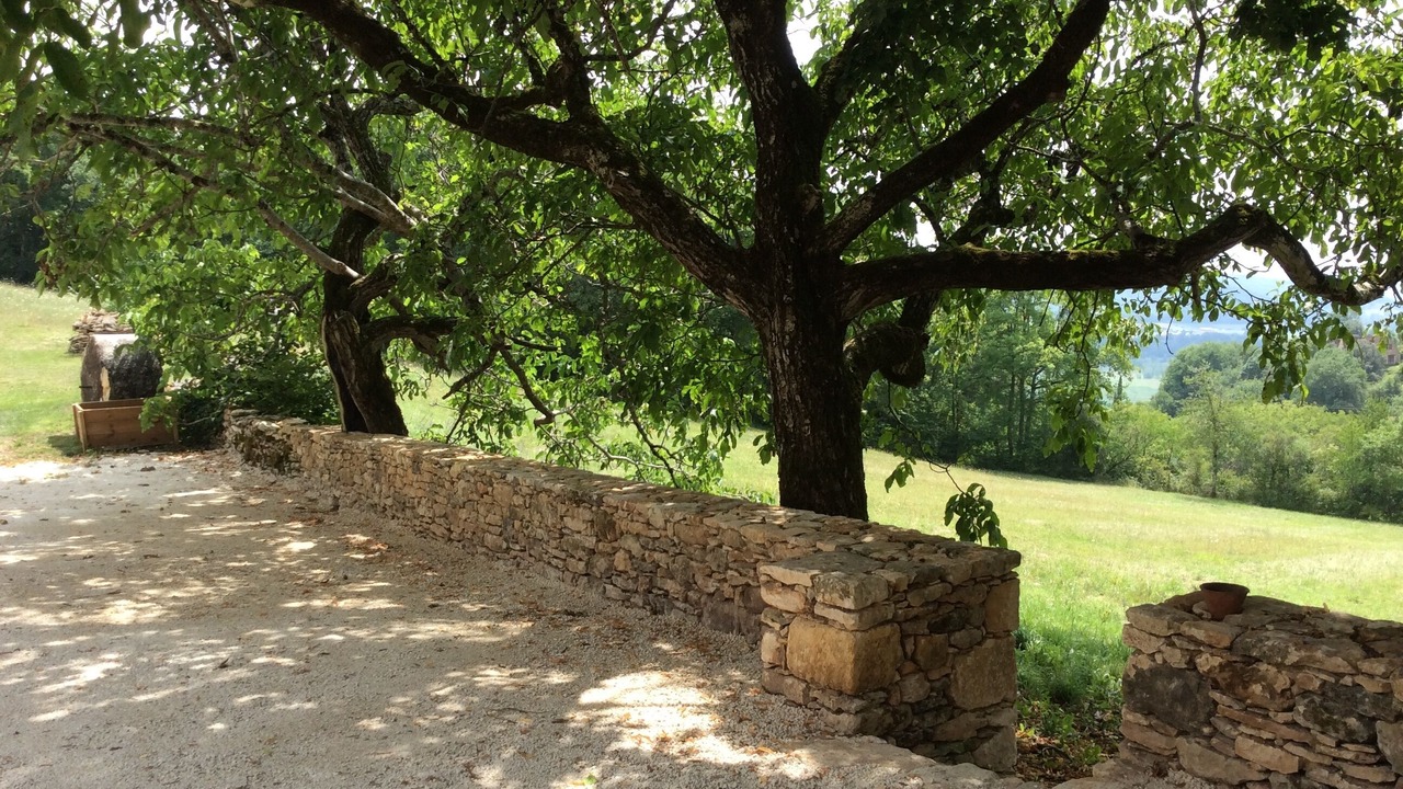 Photo of Outdoor in Castels et Bezenac