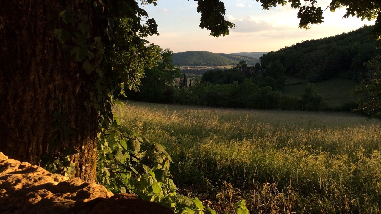 Photo of Outdoor in Castels et Bezenac