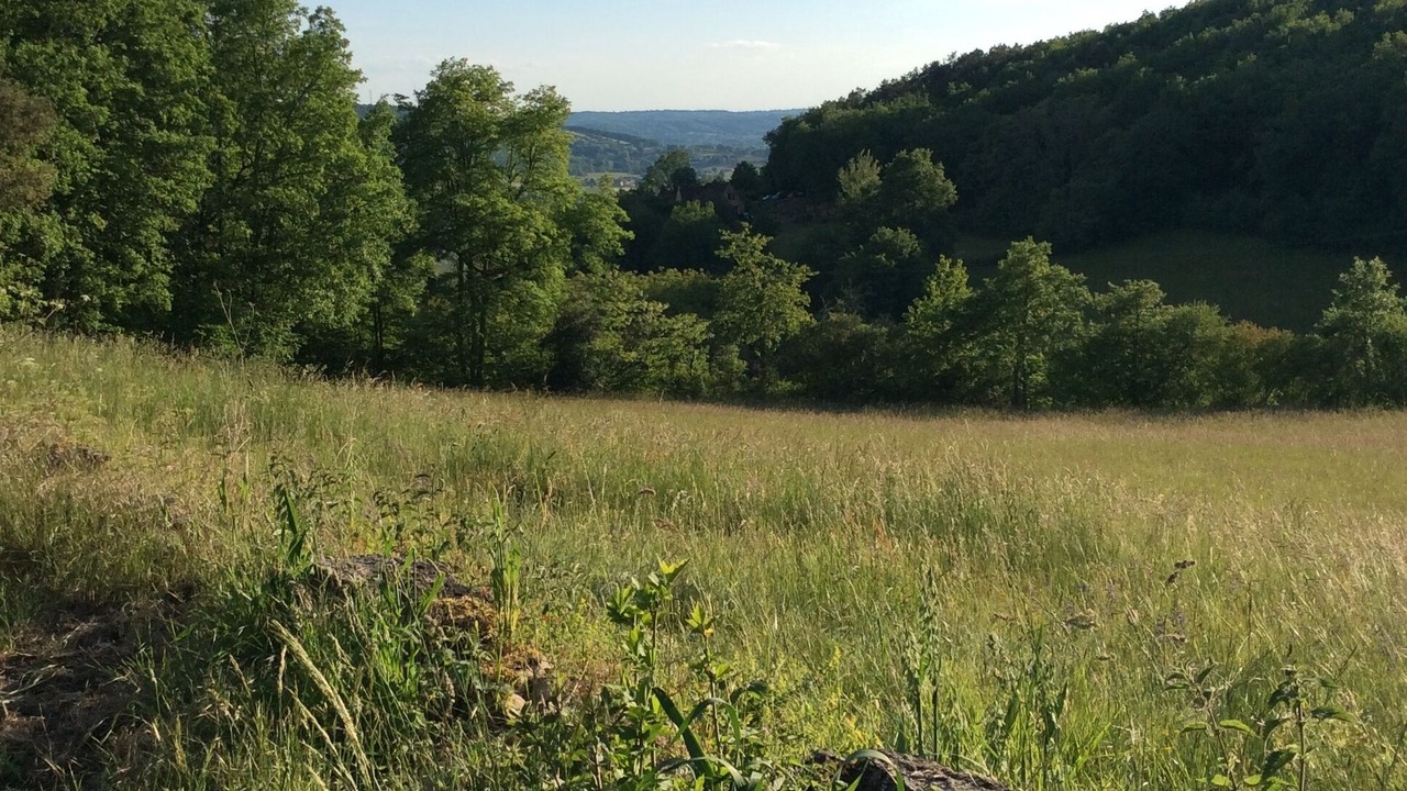 Photo of Outdoor in Castels et Bezenac
