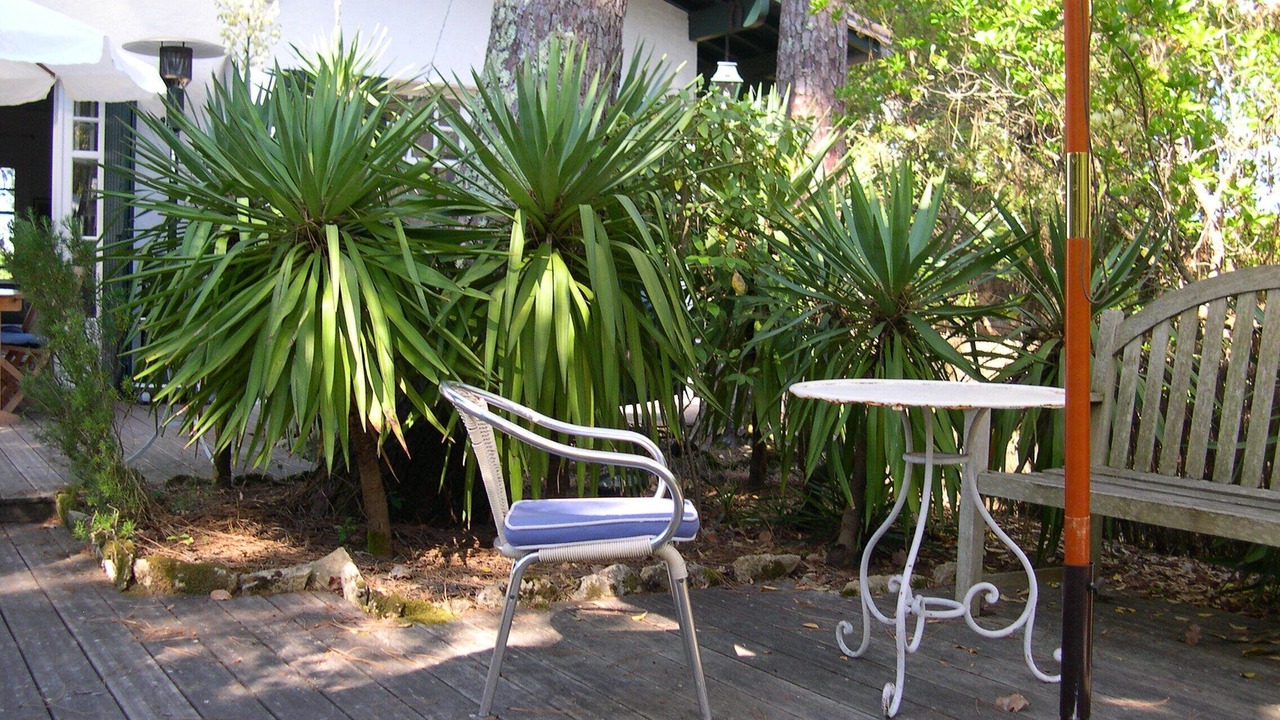 Photo of Patio Balcony in Pyla-sur-Mer