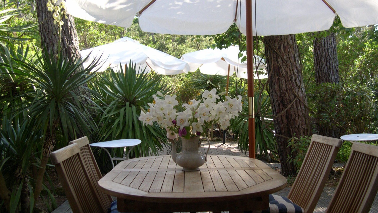 Photo of Outdoor in Pyla-sur-Mer