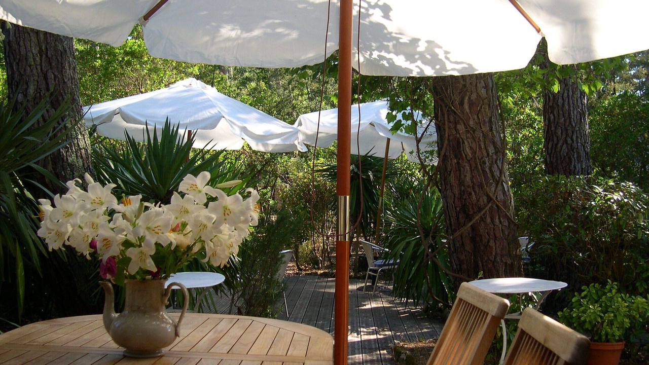 Photo of Outdoor in Pyla-sur-Mer