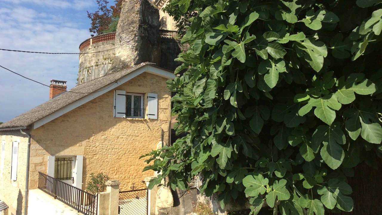 Photo of Outdoor in Montignac