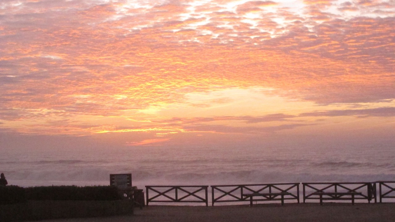 Photo of Others in Lacanau-Ocean