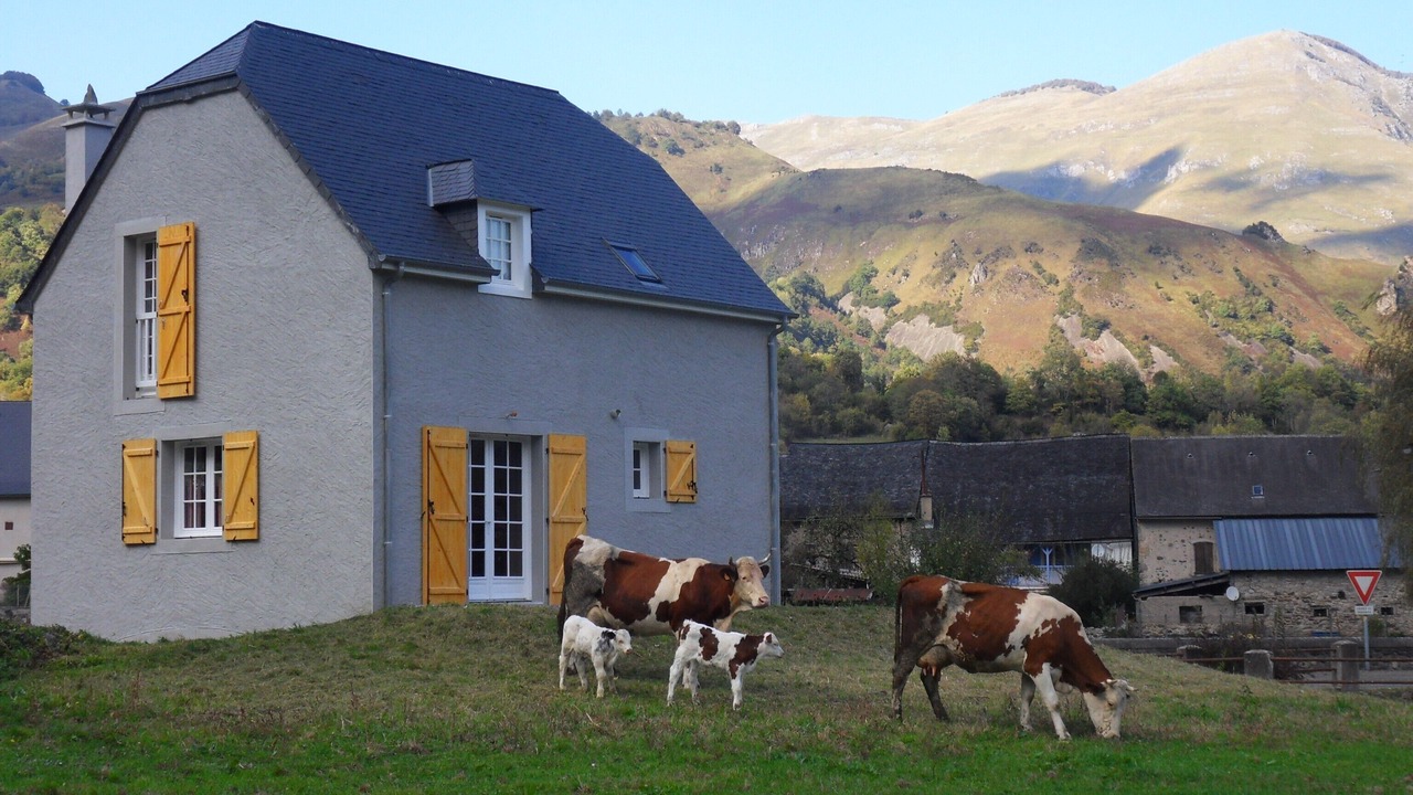 Photo of Outdoor in Lees-Athas