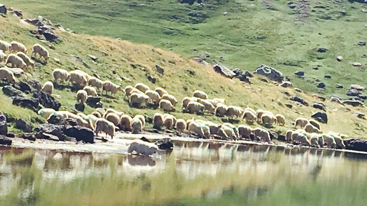 Photo of Outdoor in Lees-Athas