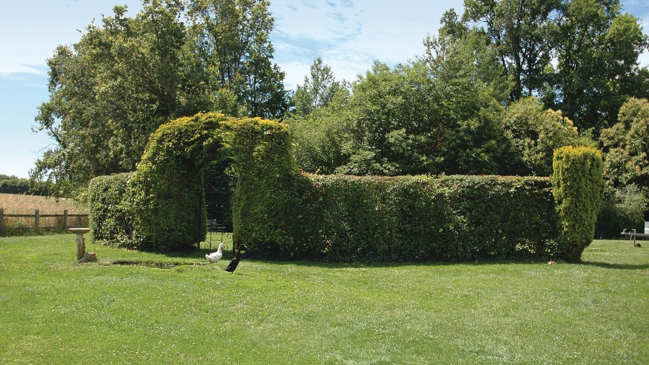 Photo of Others in Savignac-Ledrier