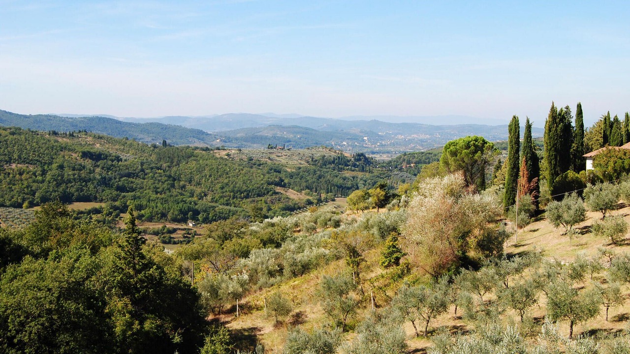 Photo of Others in Sovicille