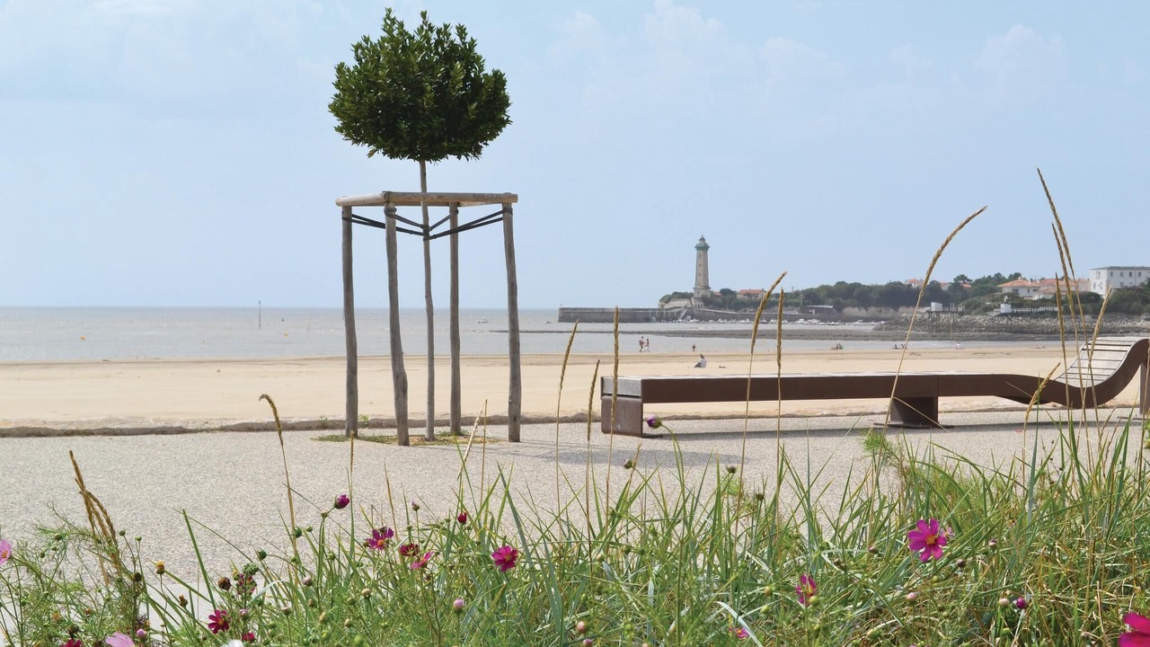 Photo of Others in Saint-Fort-sur-Gironde