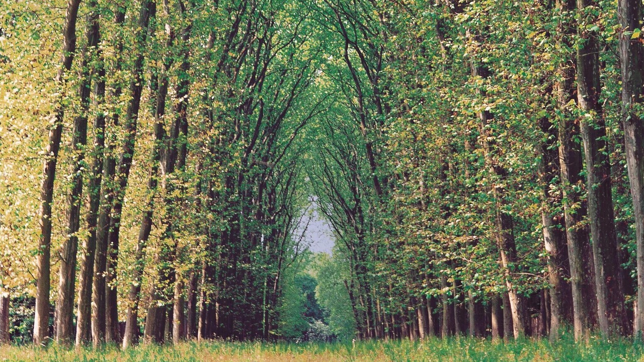 Photo of Others in Mouleydier