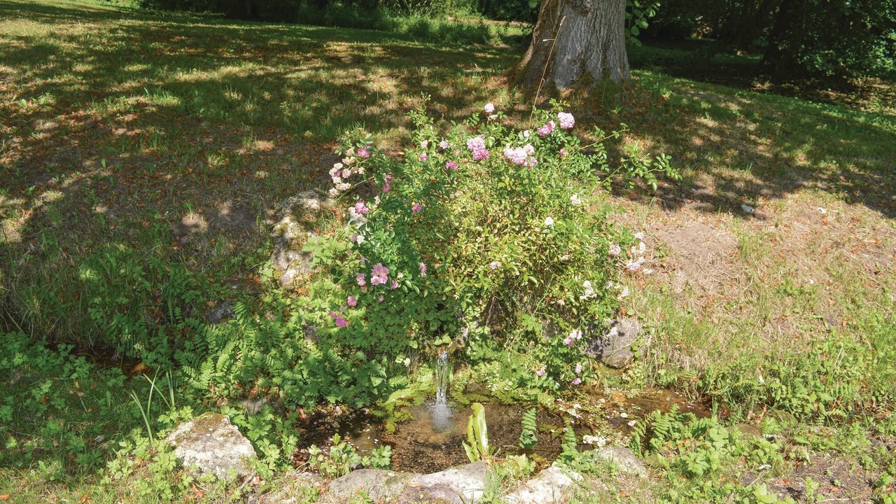 Photo of Others in Mouleydier