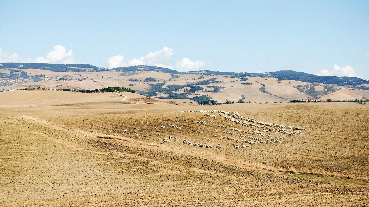 Photo of Others in San Quirico d'Orcia