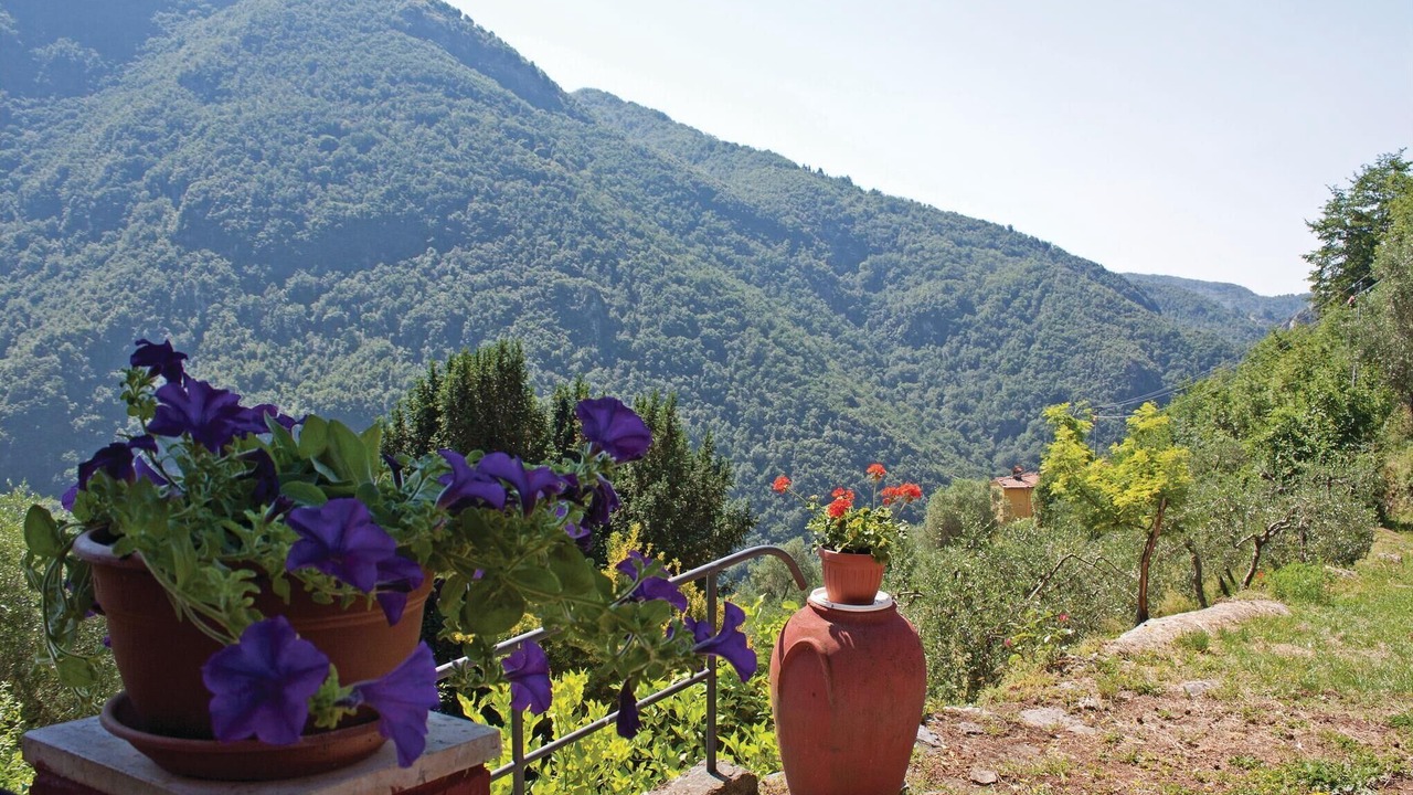 Photo of Bedroom in Camaiore