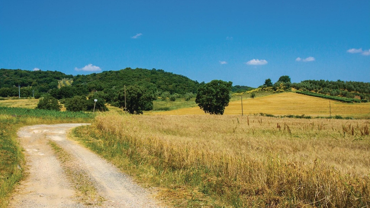 Photo of Others in Roccastrada