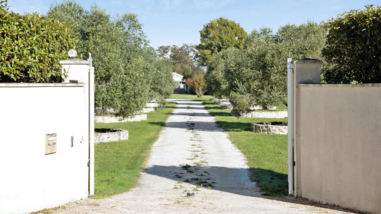 Photo of Outdoor in Saint-Germain-dEsteuil