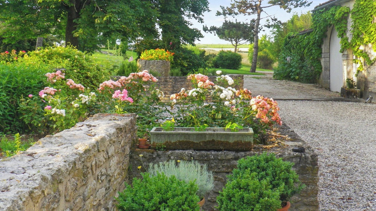 Photo of Outdoor in Julienne