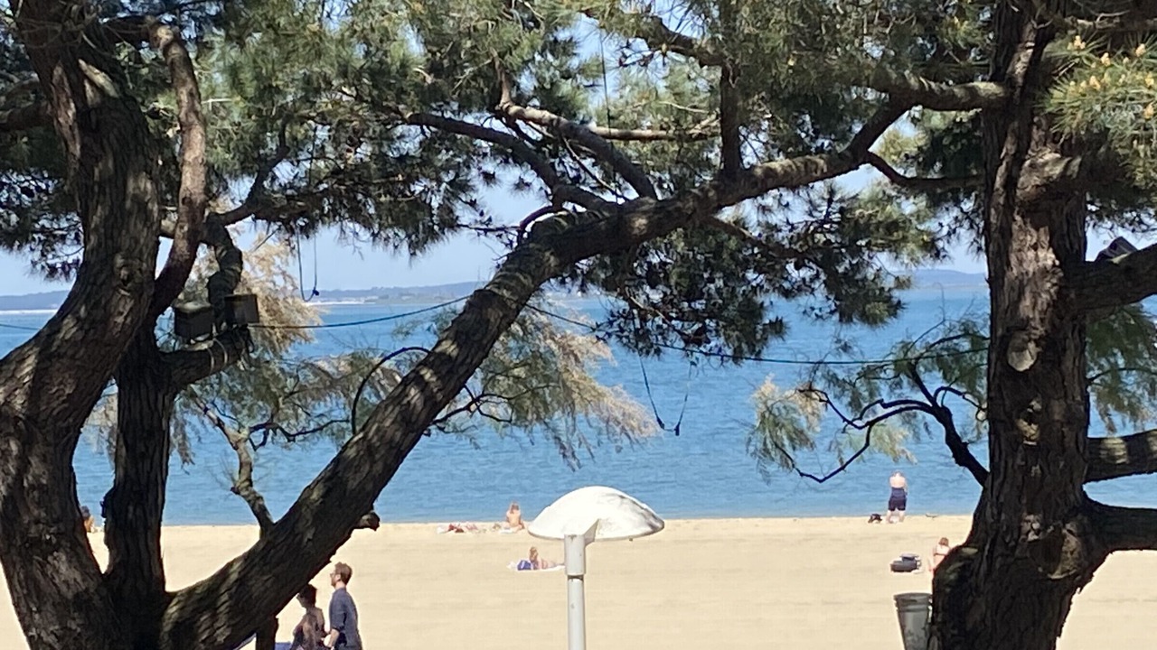 Photo of Others in Arcachon