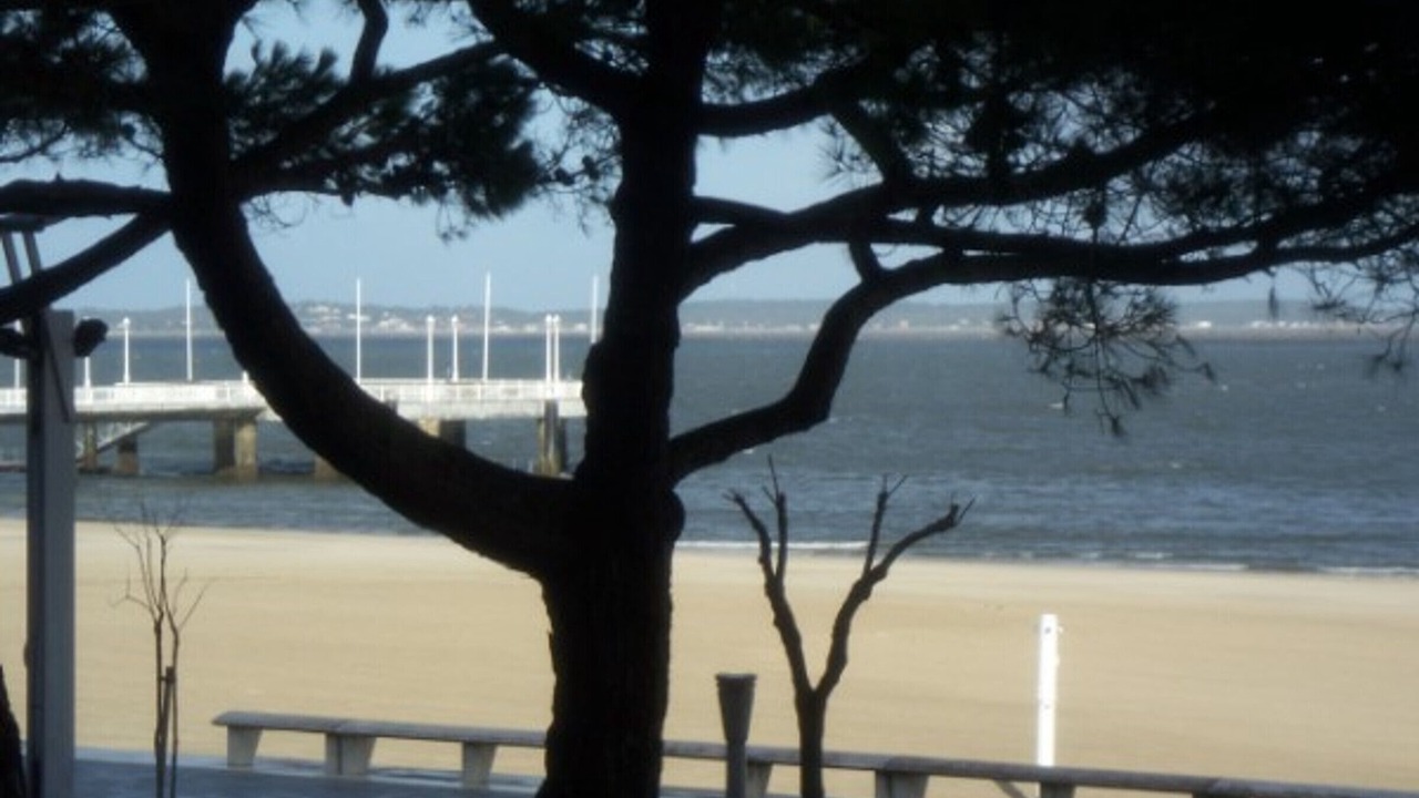 Photo of Others in Arcachon