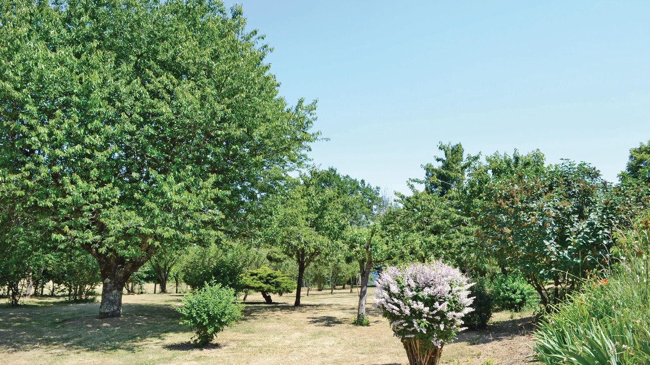 Photo of Outdoor in La Dornac
