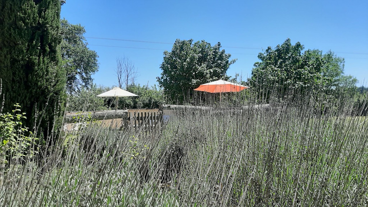 Photo of Outdoor in Pressignac-Vicq