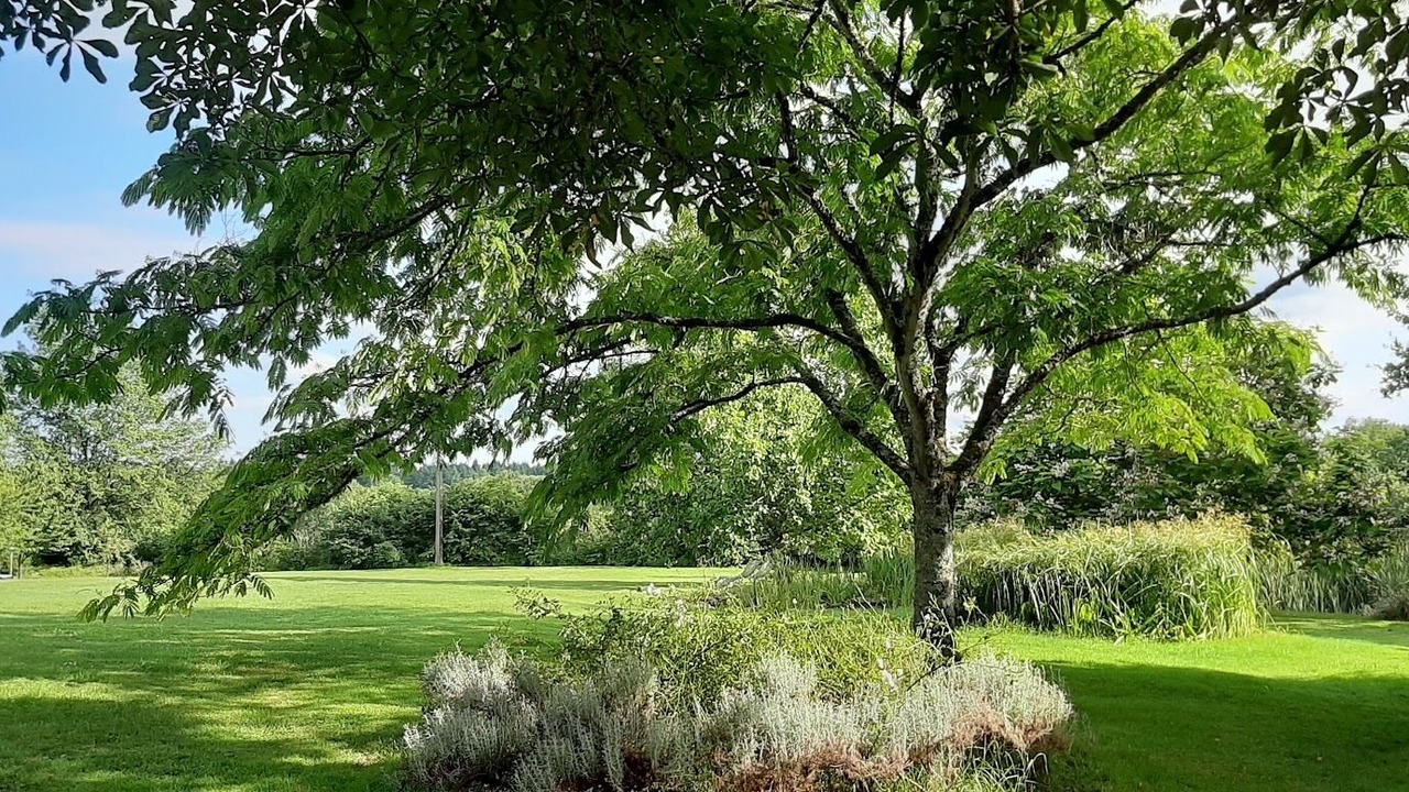 Photo of Outdoor in Pressignac-Vicq