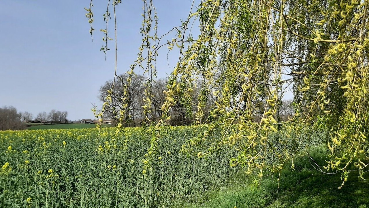 Photo of Outdoor in Pressignac-Vicq