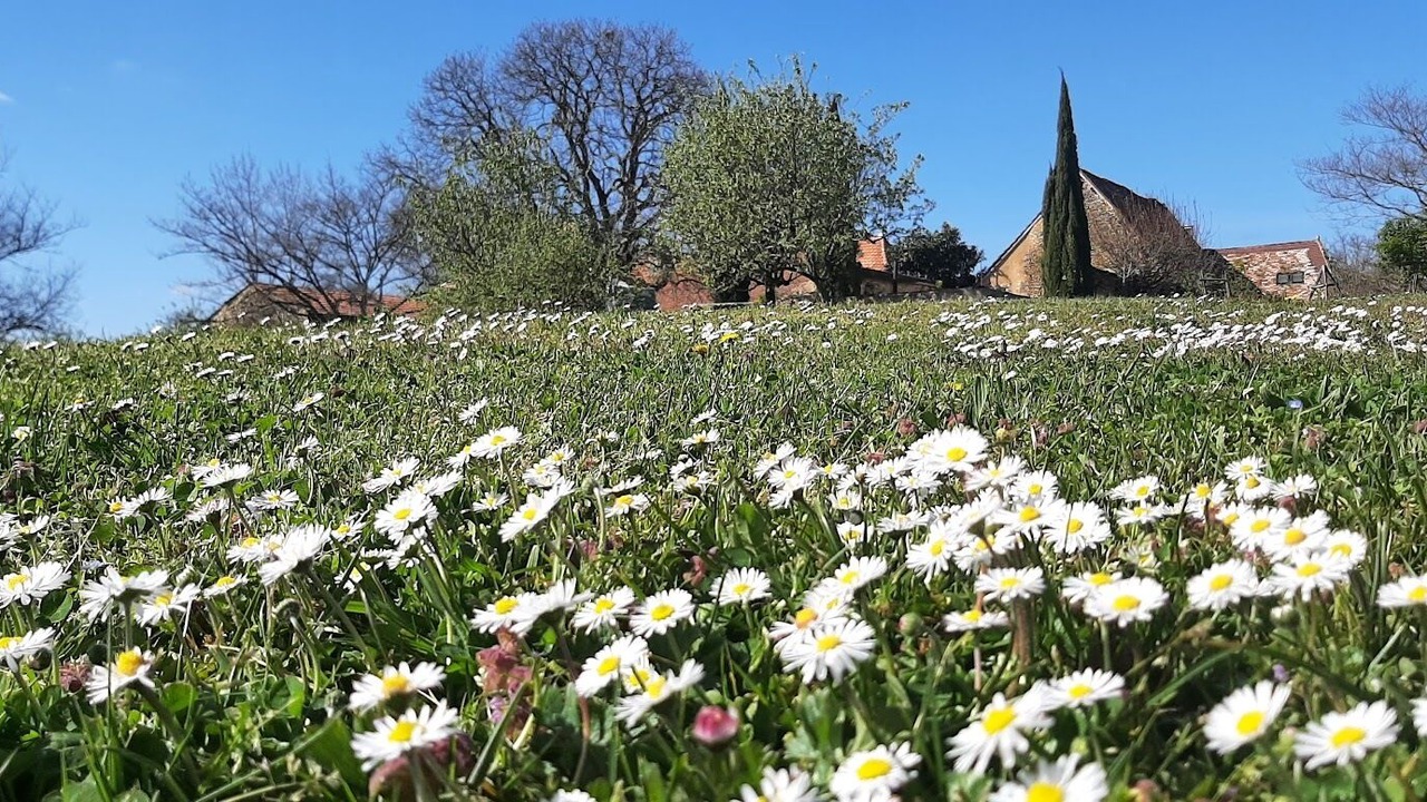 Photo of Outdoor in Pressignac-Vicq