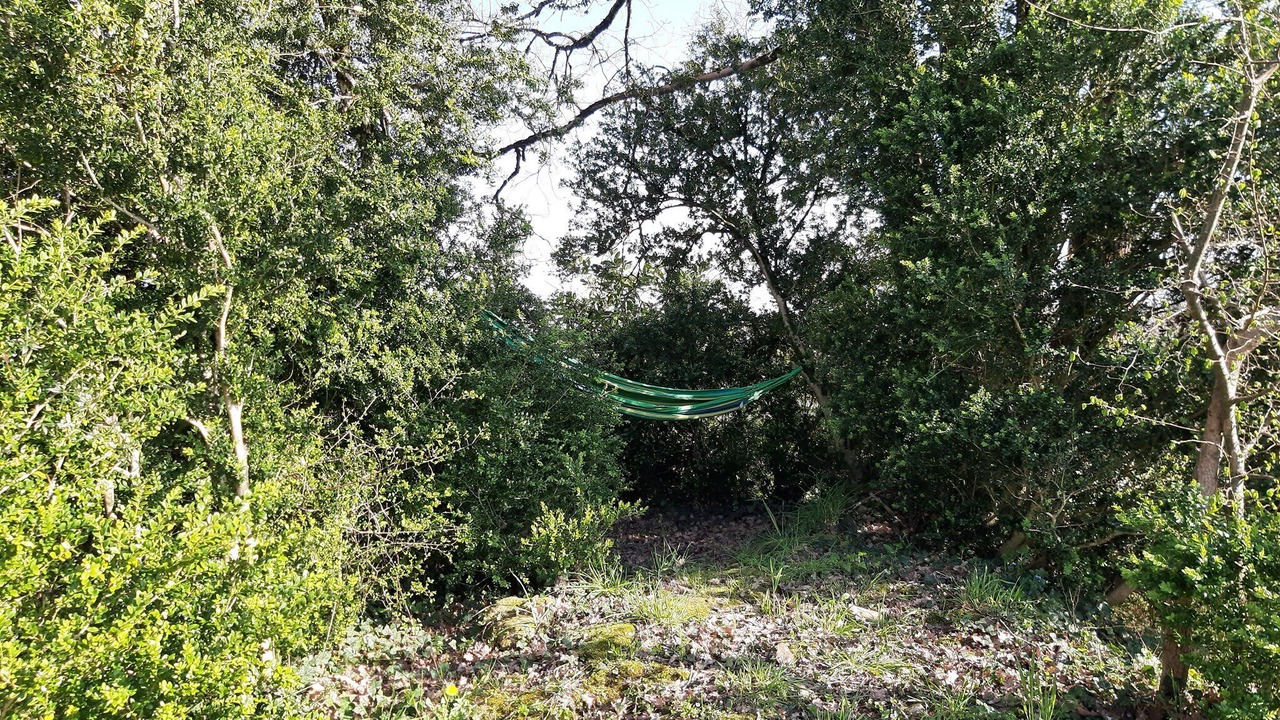 Photo of Outdoor in Pressignac-Vicq