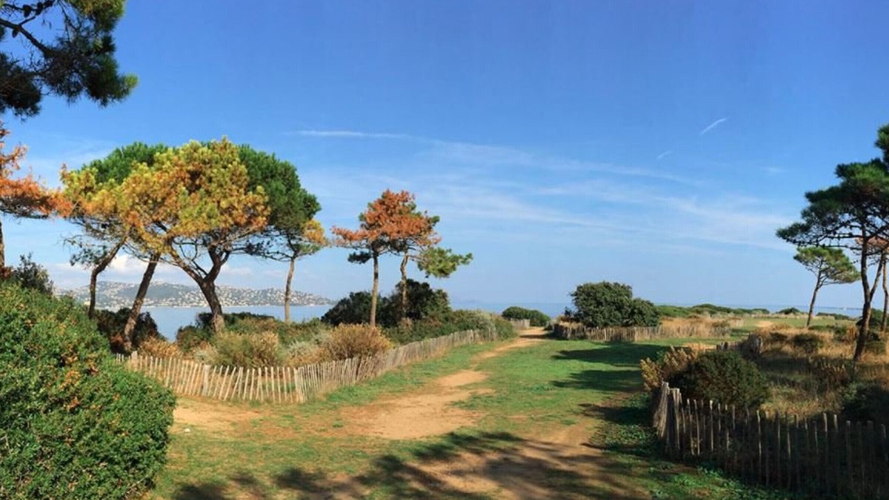 Photo of Outdoor in Les Issambres