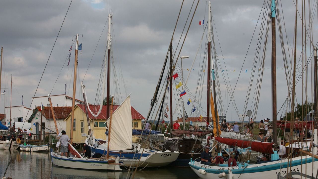 Photo of Others in Mornac-sur-Seudre