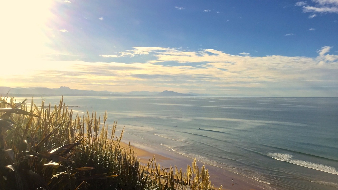 Photo of Others in Labenne-Ocean