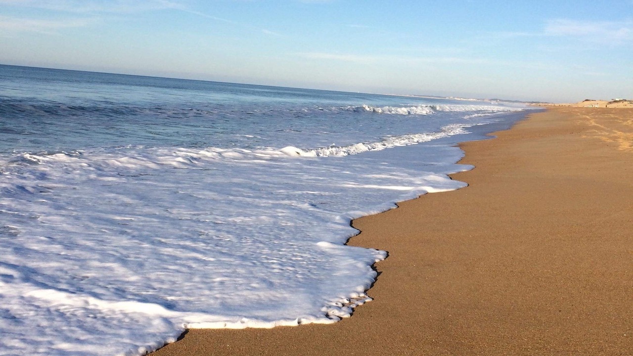 Photo of Others in Labenne-Ocean